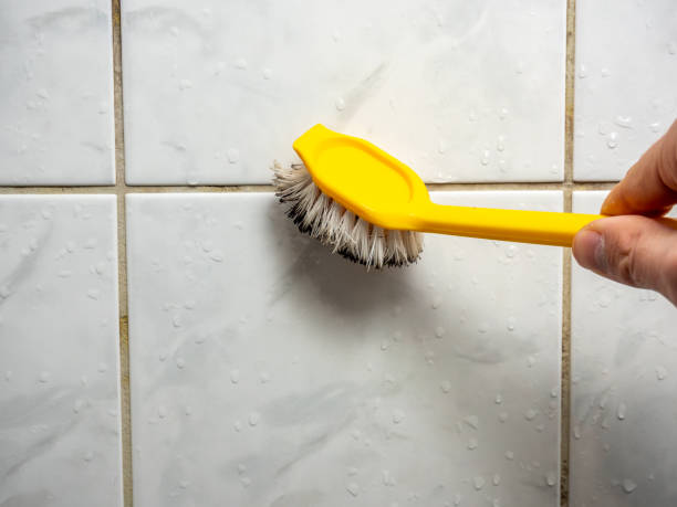 Best Attic Mold Removal  in Pinetop Lakeside, AZ